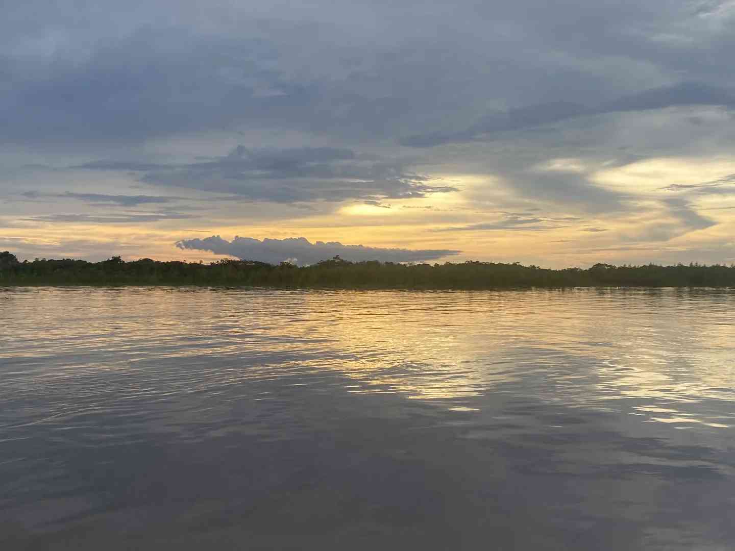 Affordable 3-Day Amazon Lodge Adventure in Iquitos Peru for Under $150 USD