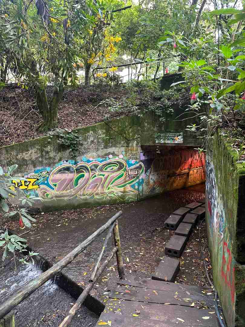 Caminhada na Montanha da Floresta com vistas deslumbrantes e oportunidades de observação de aves