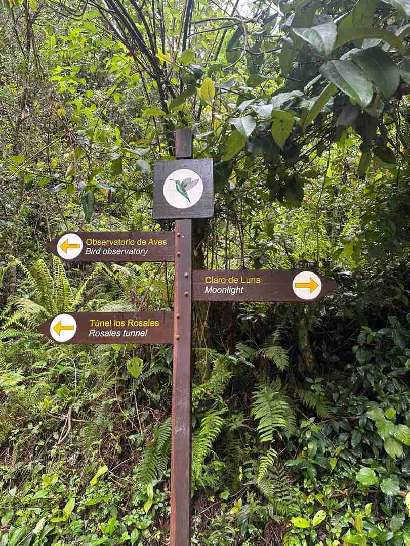 Caminhada na Montanha da Floresta com vistas deslumbrantes e oportunidades de observação de aves