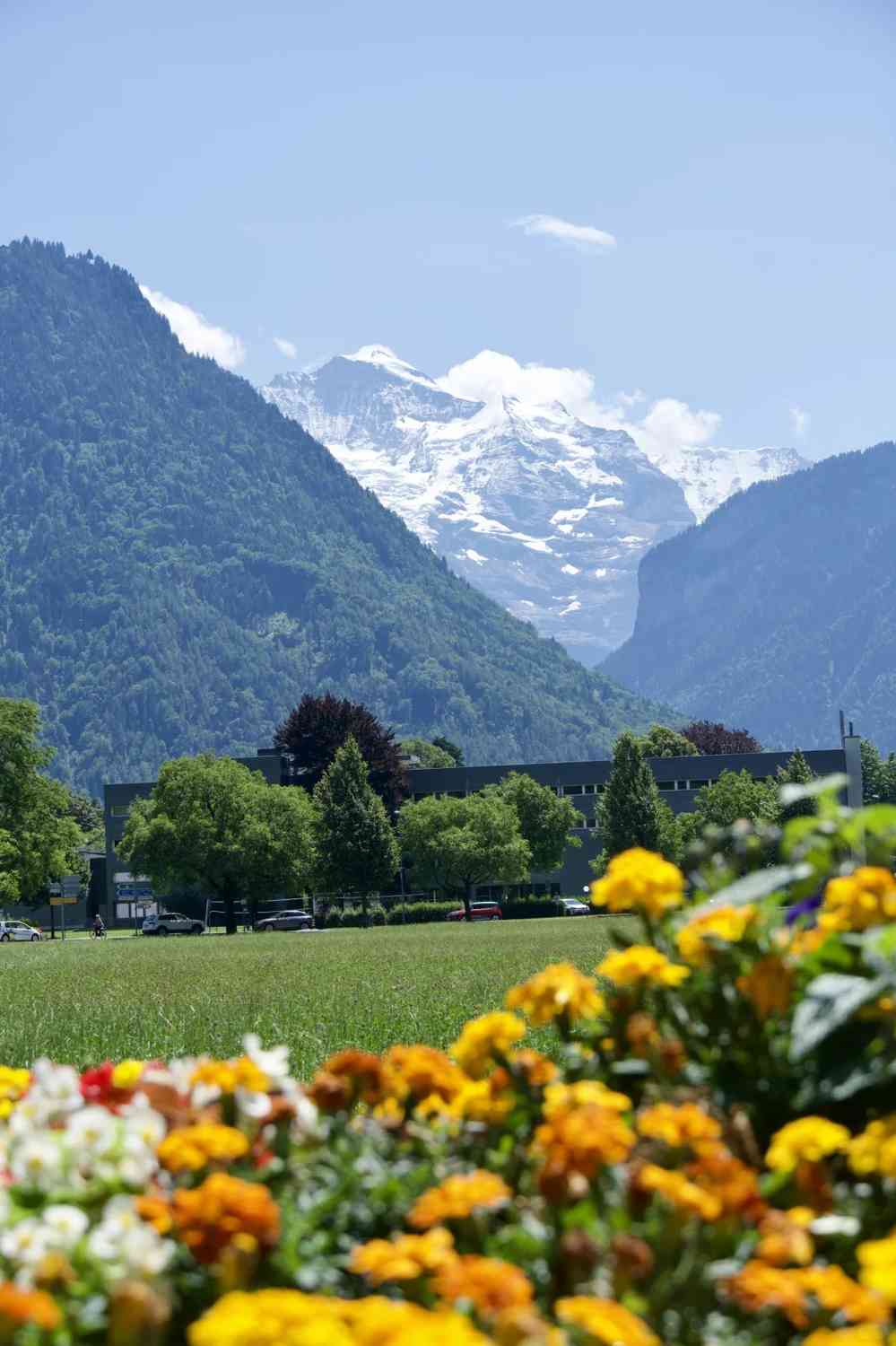 Guide de Voyage en Europe : Conseils Essentiels pour Éviter le Vol, les Amendes et Maximiser Votre Budget