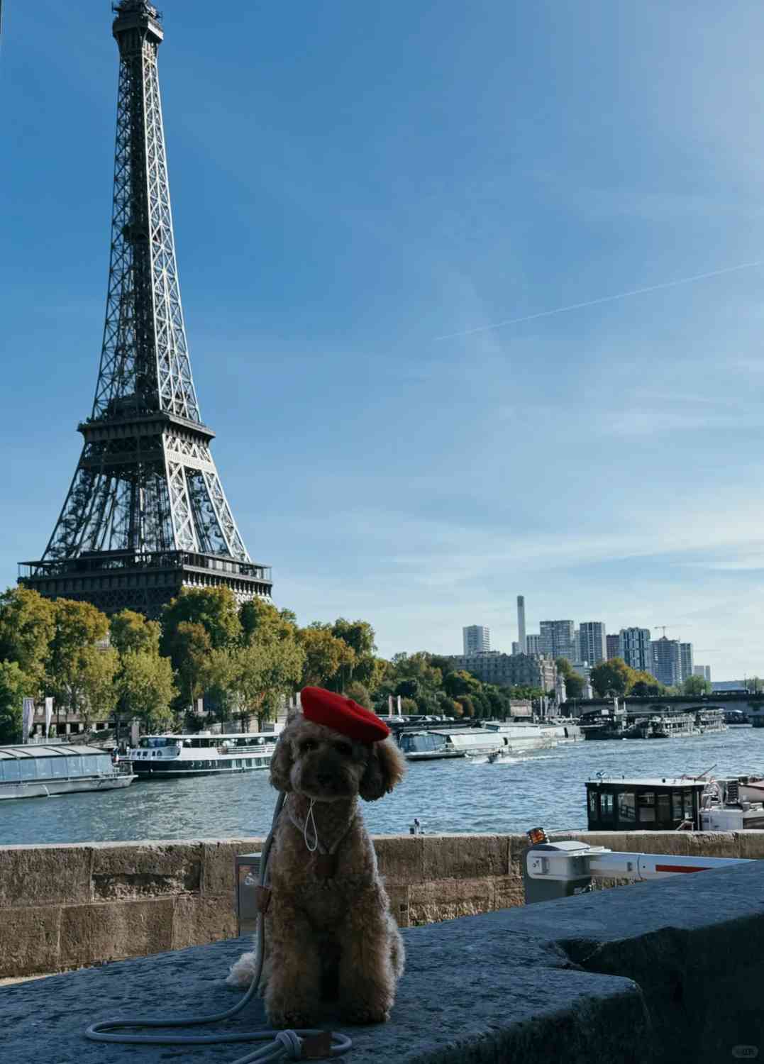 Discover Hidden Photo Spots for the Eiffel Tower and Arc de Triomphe in Paris: A Photographer's Guide