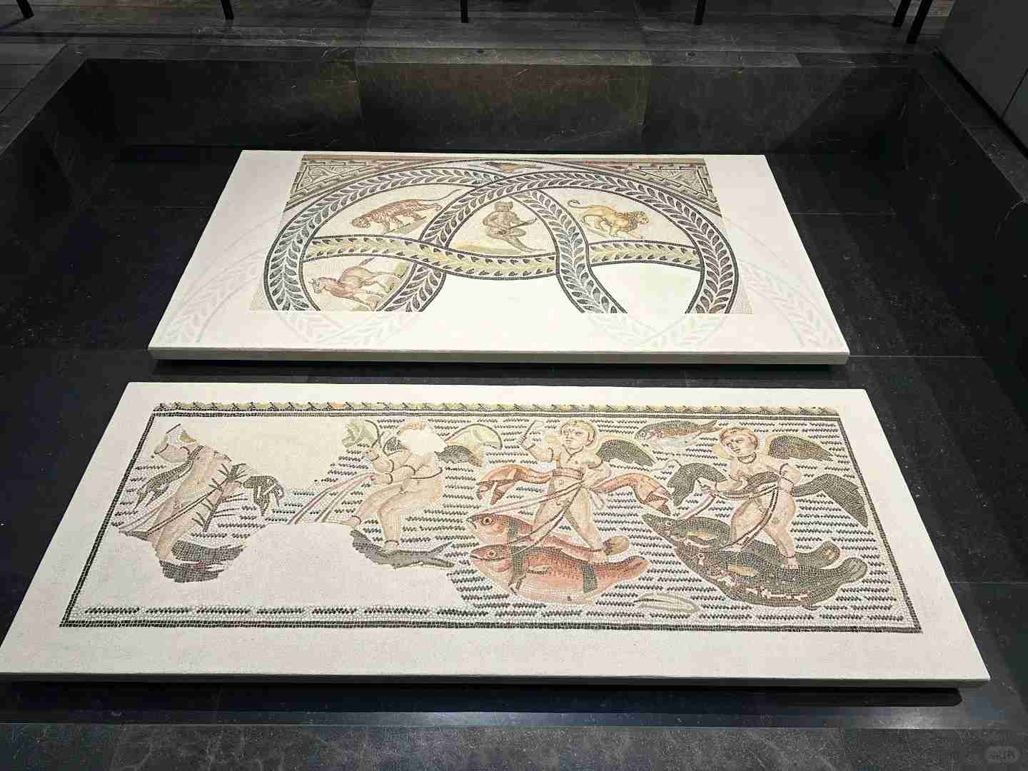 Découvrez le Louvre Abu Dhabi : un guide complet sur l'art, les expositions et conseils pour les visiteurs aux Émirats Arabes Unis