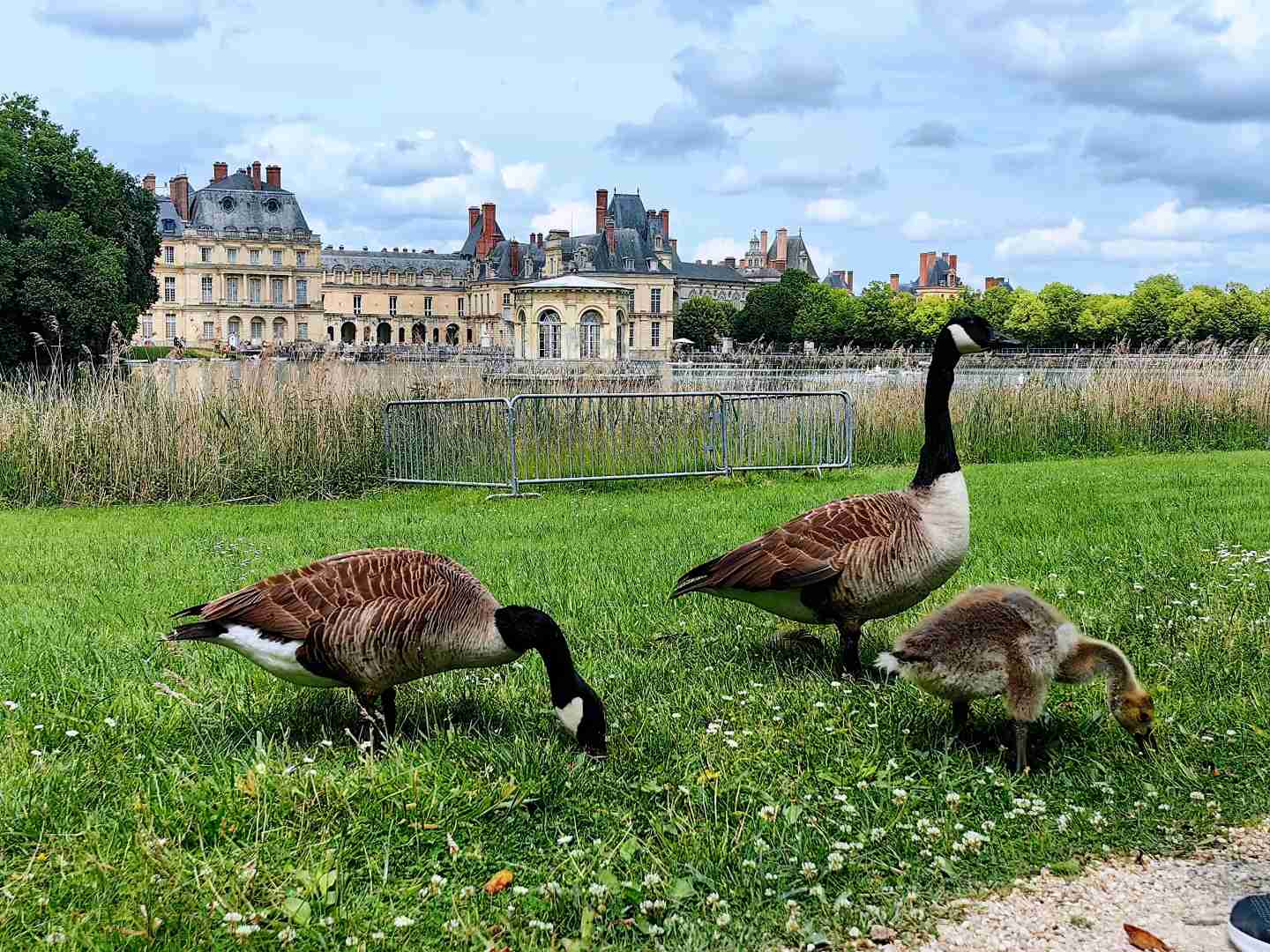 Discover the Palace of Fontainebleau: Top Hidden Gems & Must-See Attractions in Paris Suburbs