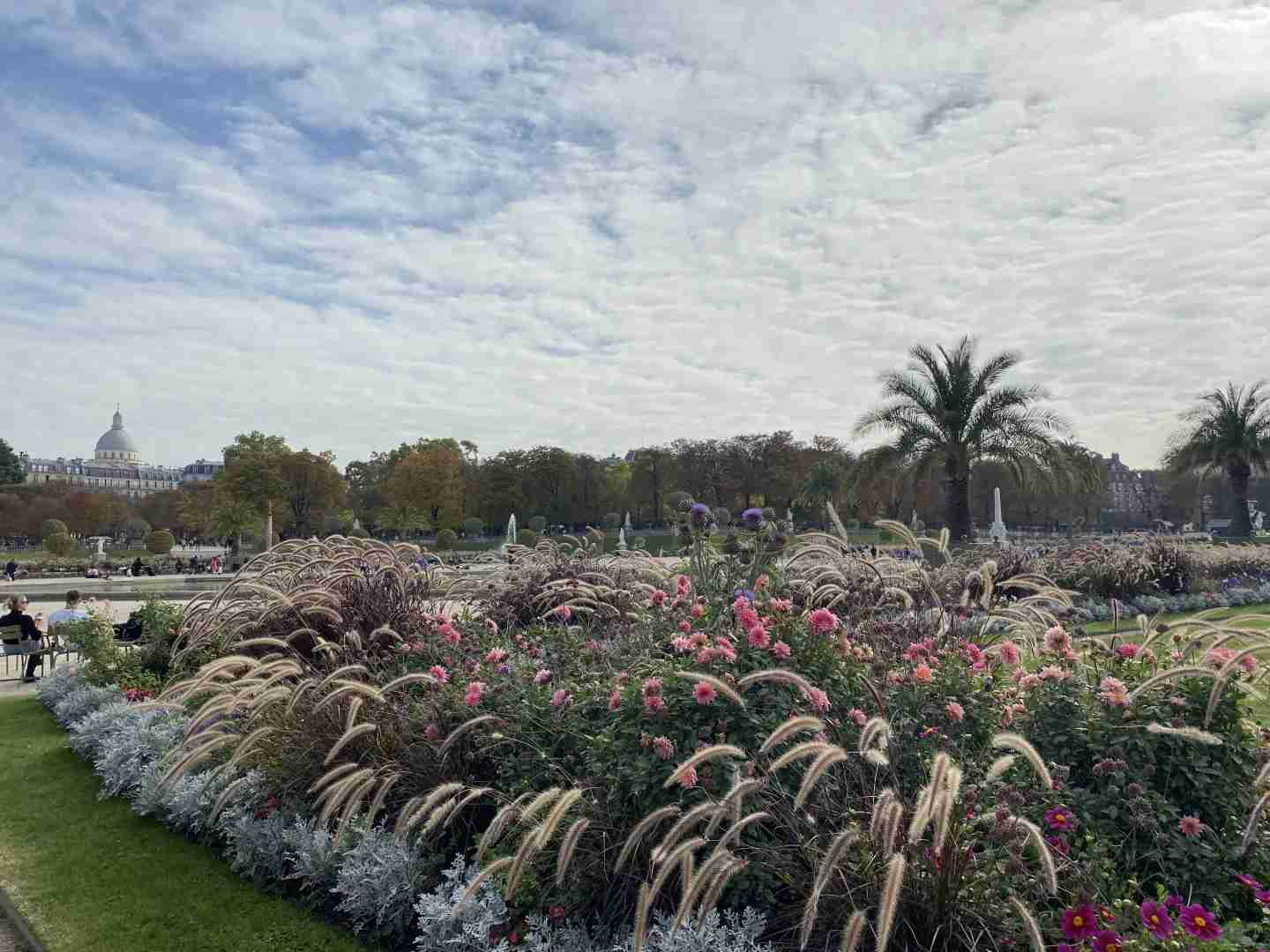 Découvrez l'automne à Paris : les meilleurs endroits pour admirer les feuilles...