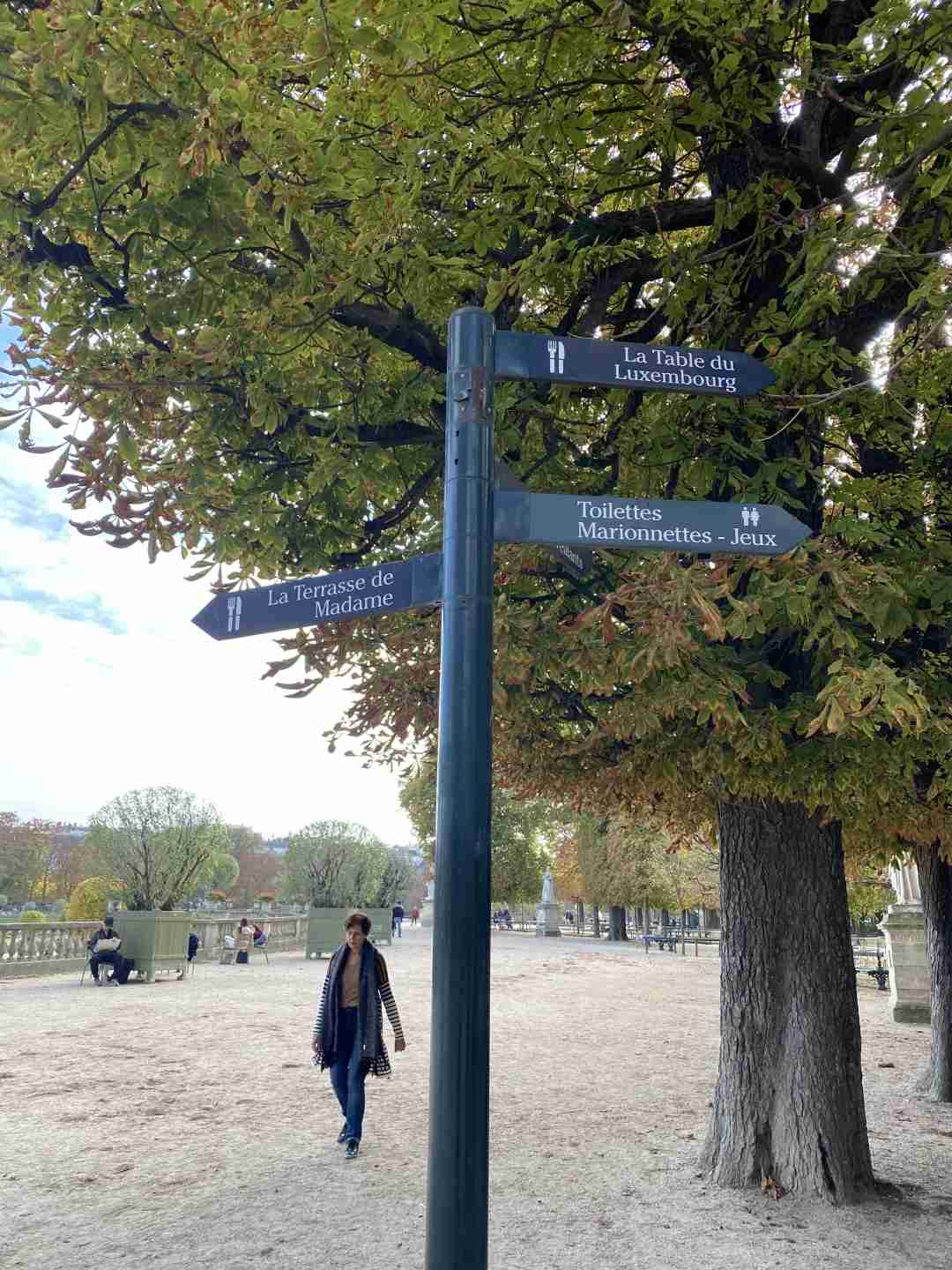 Découvrez l'automne à Paris : les meilleurs endroits pour admirer les feuilles...