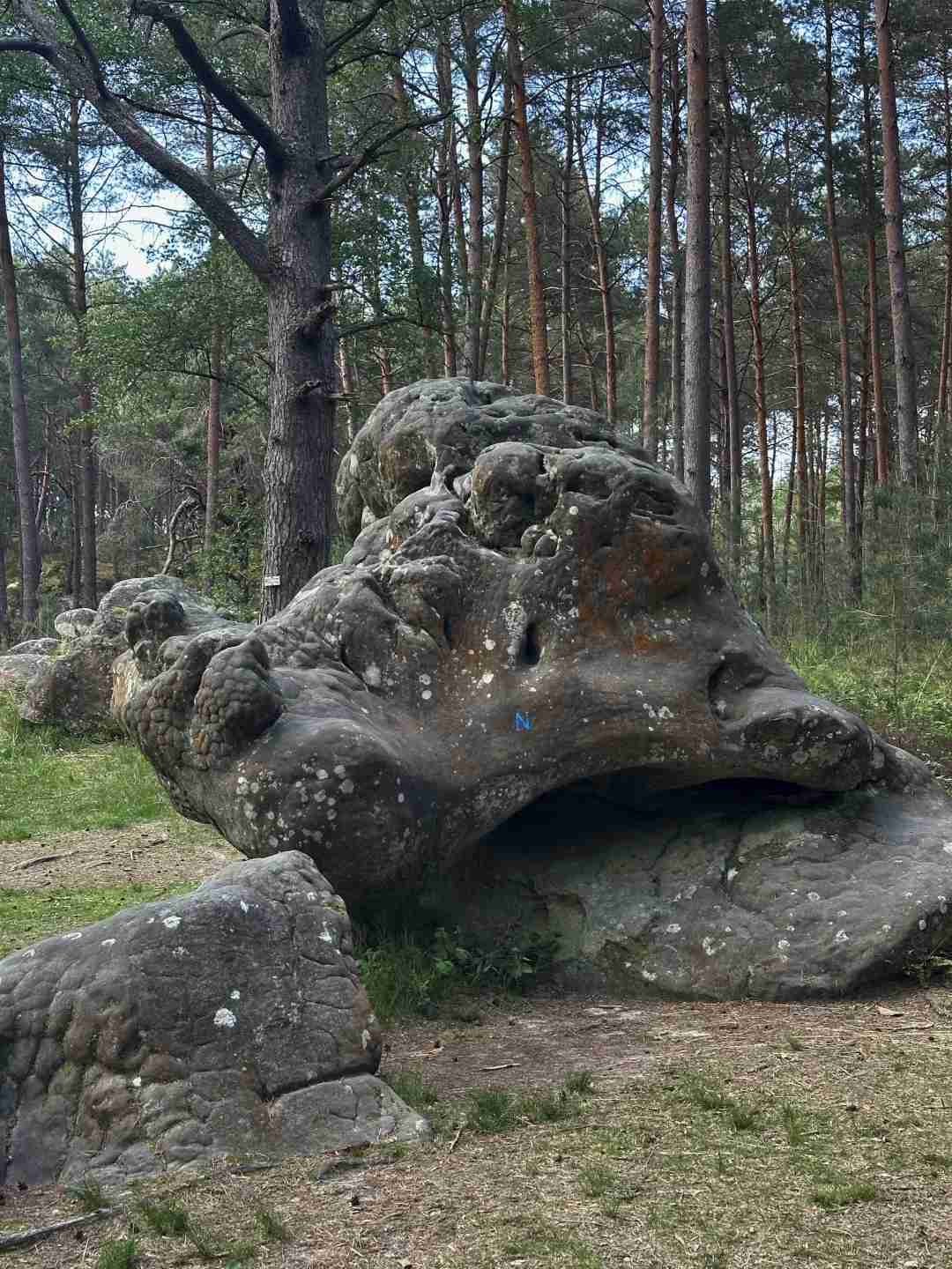 Fontainebleau Forest Hiking Live: Best Trails, Tips, and Real-Time Adventure Guide