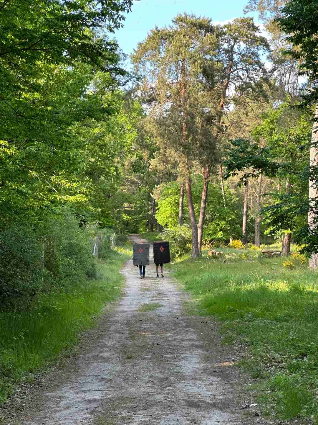 Fontainebleau Forest Hiking Live: Best Trails, Tips, and Real-Time Adventure Guide