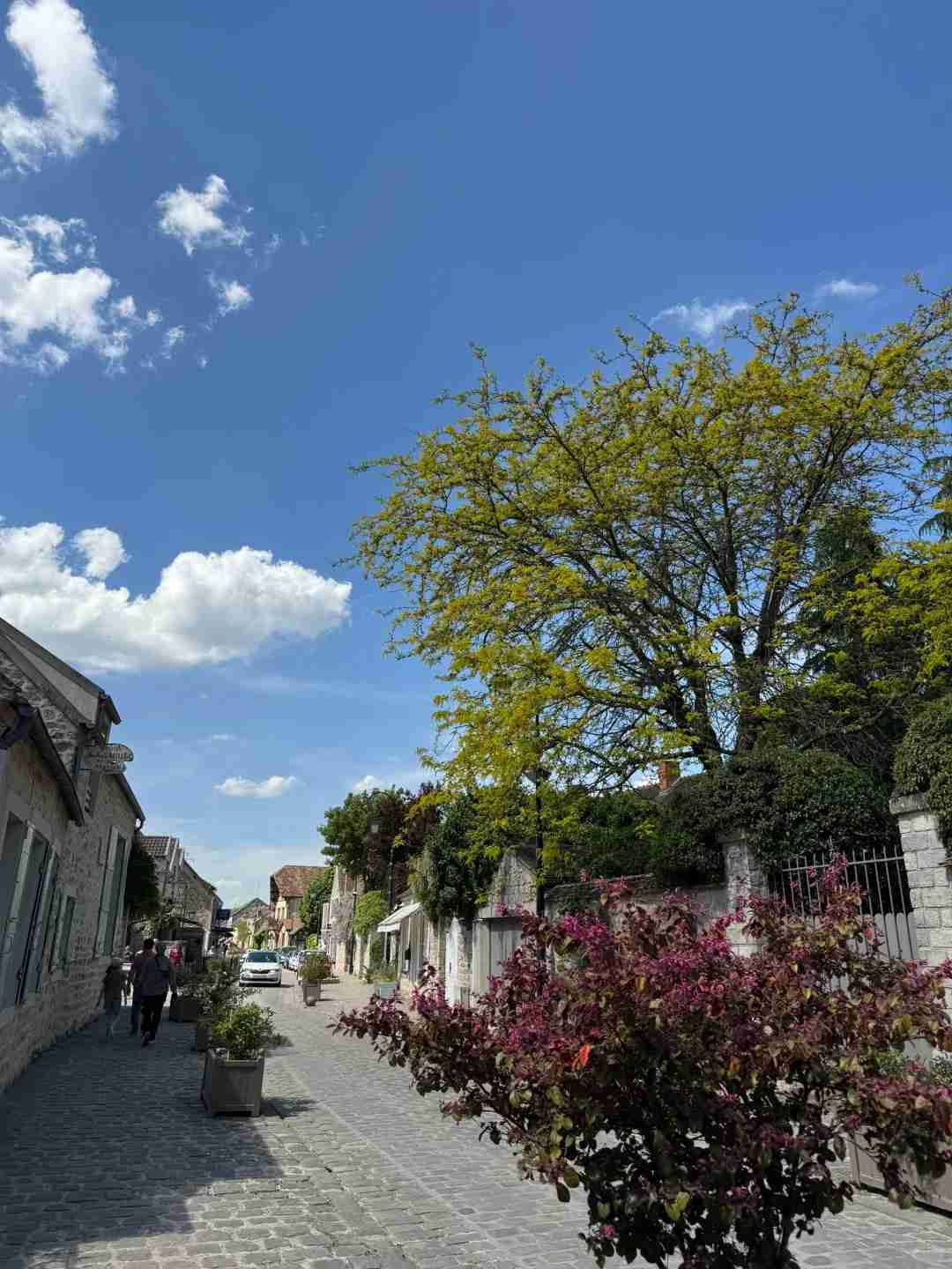 Hiking from Fontainebleau to Barbizon: A Scenic Forest Trail Guide for Nature Lovers