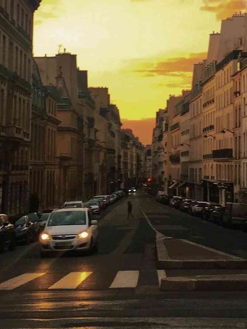 Mon cours de master en littérature comparée préféré à Paris : les meilleurs cours et conseils pour étudier