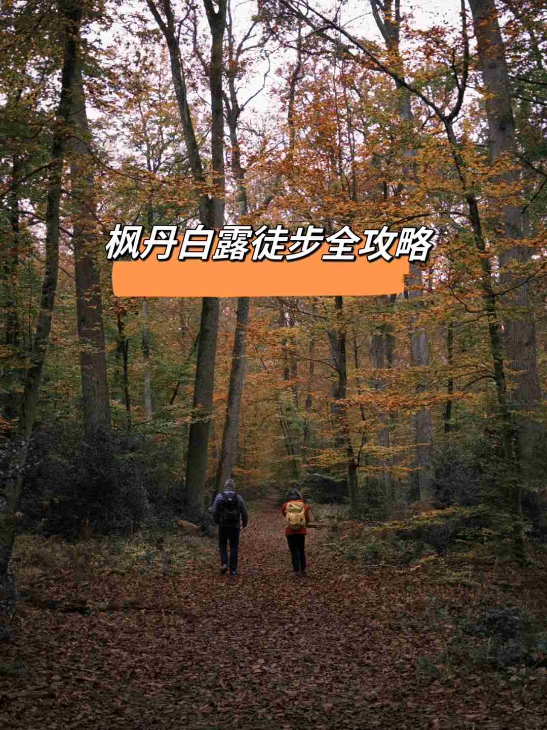 Night Hiking and Camping Guide: Ultimate Backpacking Adventure in Fontainebleau Forest