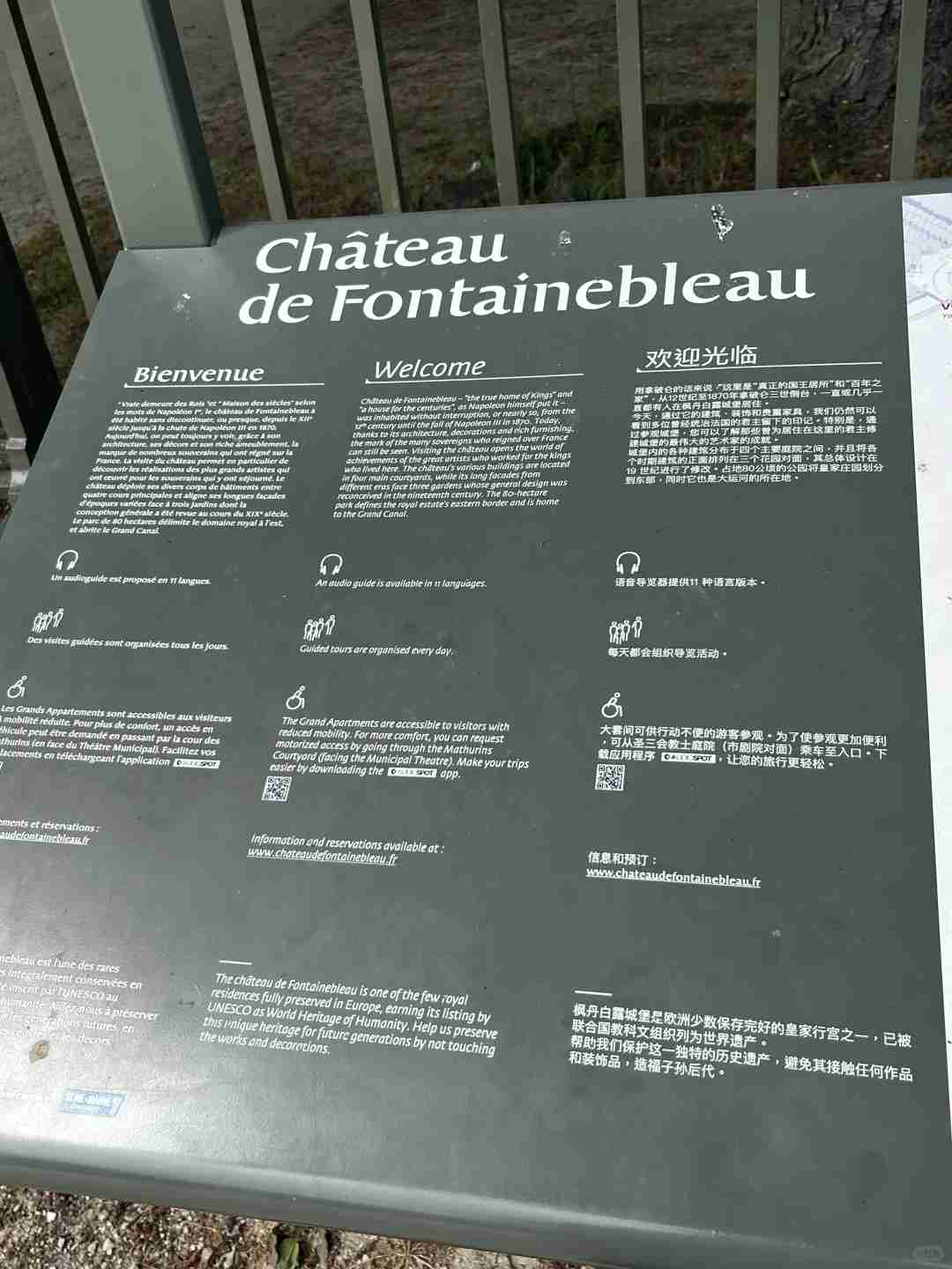 Ultimate Guide to Hiking in Fontainebleau Forest: France Joint Training Diary 17 & Palace Trail Tips