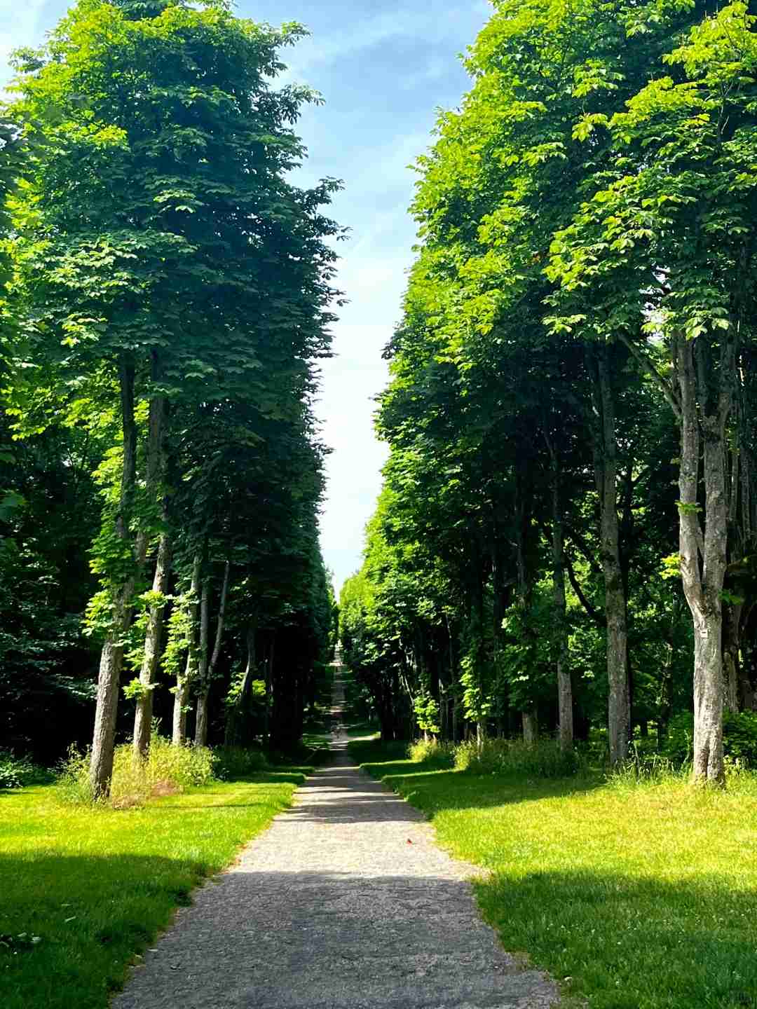 Ultimate Guide to Hiking in Fontainebleau Forest: France Joint Training Diary 17 & Palace Trail Tips