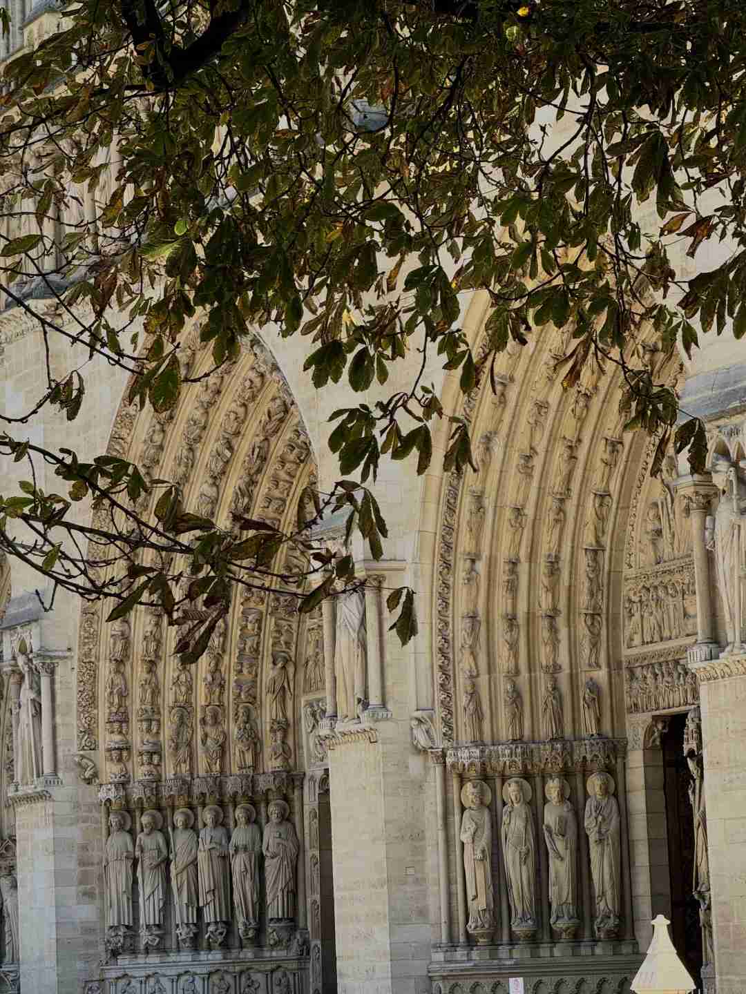 Guide ultime pour visiter la cathédrale Notre-Dame : conseils gratuits pour sa réouverture, horaires et attractions incontournables