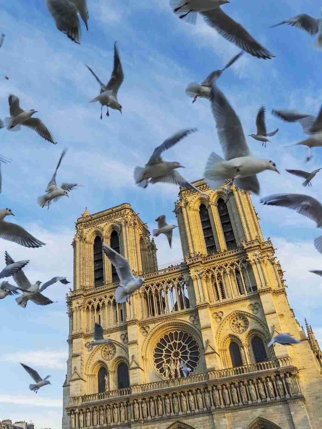 La flèche de Notre-Dame à Paris rouvrira en septembre 2025 : tout...